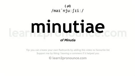 minutia meanings.